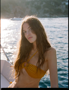 Velvet in Gold